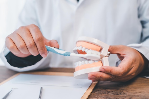 Os dentistas estão se manifestando com dentaduras para educá-los. sobre ortodontia e escovação de dentes