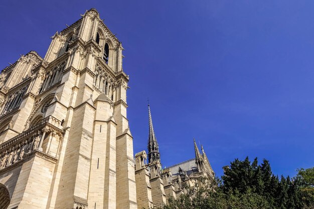 Os detalhes de Notre Dame de Paris