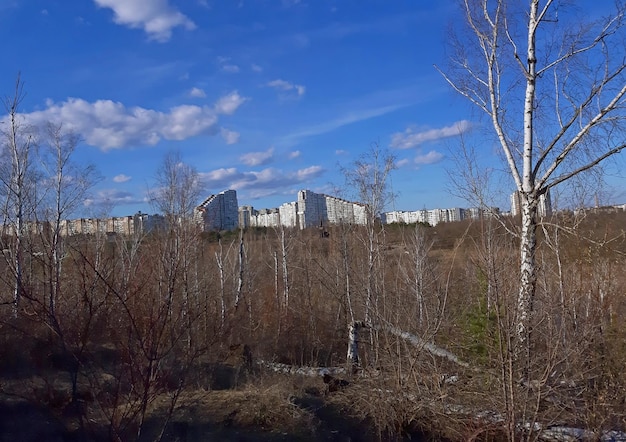 Os edifícios dos portões da cidade de Chisinau fotografados do parque