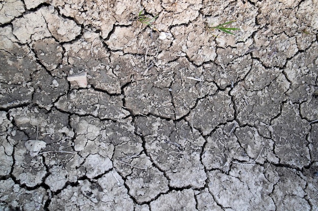 Os efeitos da seca na terra