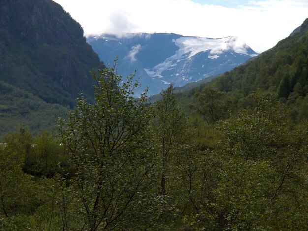 Foto os fiordes da noruega