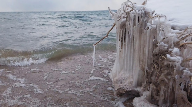 Os galhos de uma árvore coberta de gelo espesso no meio de um inverno muito frio