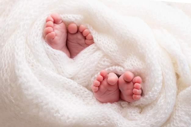 Foto os gêmeos são bebês. uma foto de close-up das pernas de gêmeos recém-nascidos em uma manta branca. pés e dedos dos pés de um recém-nascido em um cobertor branco macio. foto de alta qualidade
