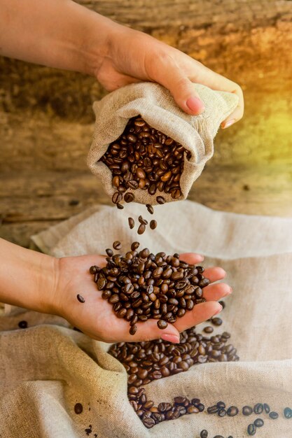 Foto os grãos de café são derramados do saco na mão