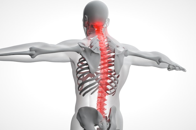 Os homens do torso sob a espinha dorsal dos raios X são destacados em vermelho isolado em black5