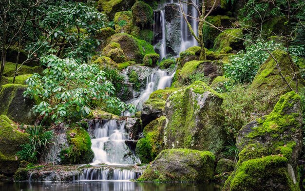 Os Jardins Japoneses