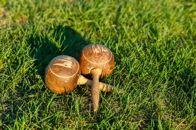 Os maracas cubanos encontram-se na grama verde.