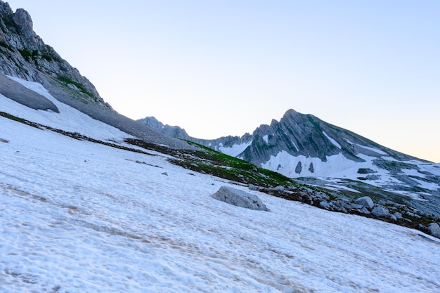 Os montes de neve e a grama verde no topo das montanhas da floresta tropical ao nascer do sol As montanhas alpinas e os prados