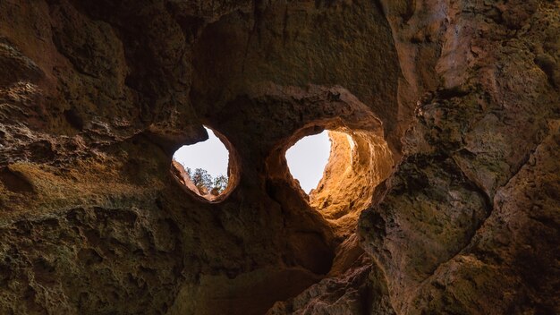 Os olhos que guardam a entrada