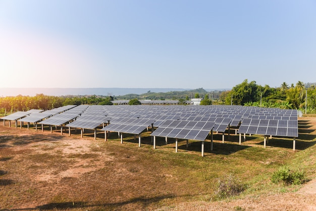Os painéis solares na fazenda solar com iluminação verde da árvore e do sol refletem - energia da célula solar ou conceito de energia renovável