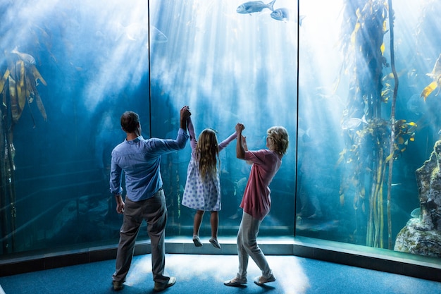 Os pais levantando seu dauhter atrás do aquário