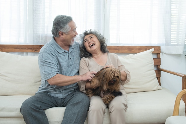 Os pares asiáticos sênior idosos felizes sentam-se no sofá junto com a terapia do animal de estimação na guarda dos cuidados, no homem aposentado e na mulher que guardam o cão ao sentar-se no sofá na sala de visitas em casa.