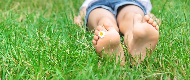 Os pés das crianças com camomila na grama verde.