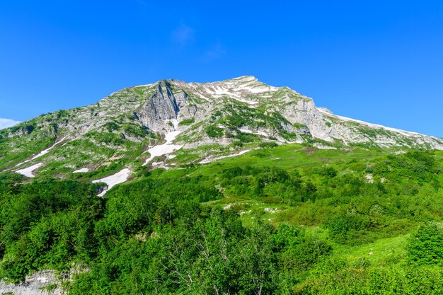 Os picos das montanhas cobertas de neve na floresta tropical