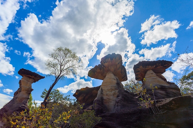 Os pilares de pedra em forma de cogumelo de um milhão de anos no parque nacional Pha tam, na província de Ubon Ratchathani, na Tailândia