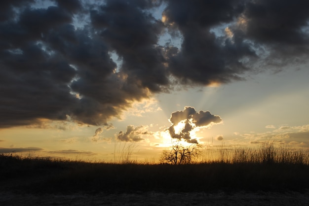 Foto os raios do sol brilham através das nuvens