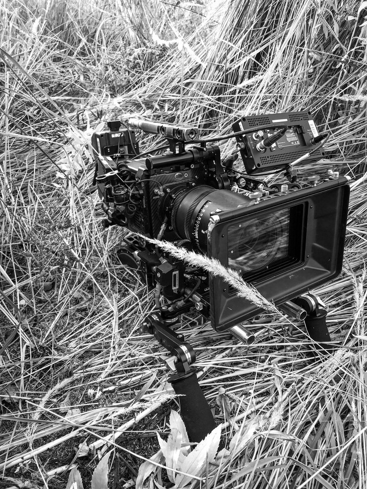 Foto os raios do sol brilham através de uma câmera de cinema em um campo