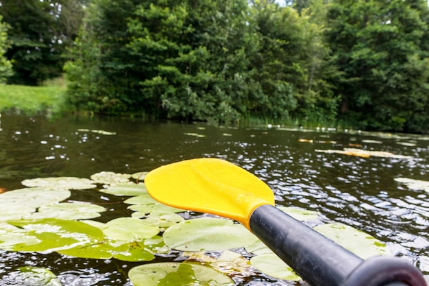 os remos são uma atividade popular para canoagem e caiaque.