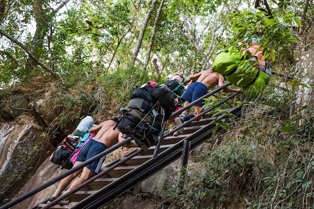 Os sherpas carregam muita bagagem de turistas.