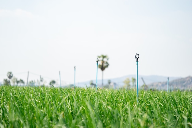 Os sistemas de água dos agricultores spinger ajudam a água a se espalhar bem e economizam tempo de rega para os agricultores.