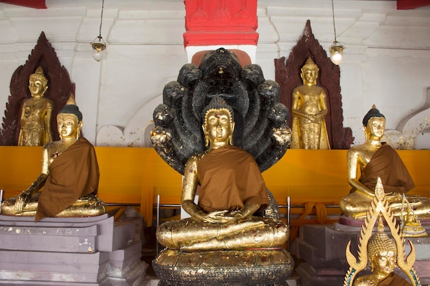 Os tailandeses respeitam e rezam a estátua de Buda dourada em ubosot de Wat Phra Mahathat Woramahawihan em 5 de outubro de 2017 em Nakhon Si Thammarat Tailândia