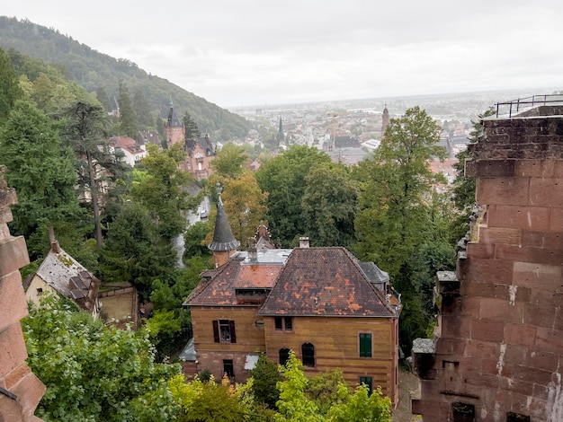 Os telhados das casas históricas em Heidelberg