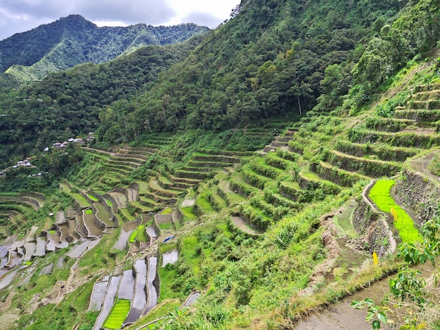 Os terraços de arroz em banaue filipinas