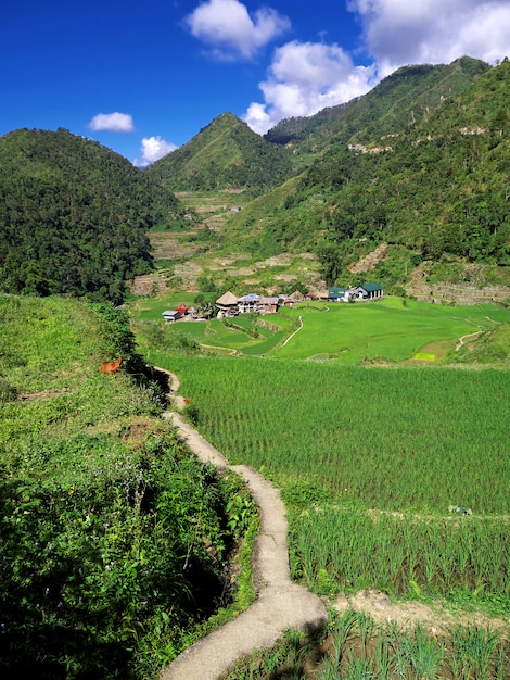 Os terraços de arroz em Bangaan, Filipinas