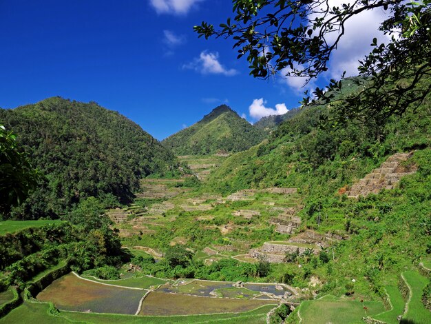 Os terraços de arroz em Bangaan Filipinas