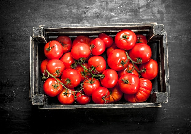 Os tomates na caixa.