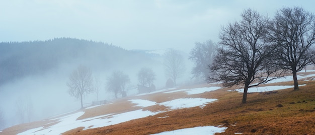 Os últimos dias de inverno nas montanhas da Ucrânia, névoa espessa. Cárpatos.