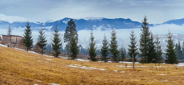 Os últimos dias de inverno nas montanhas da ucrânia, névoa espessa. cárpatos.