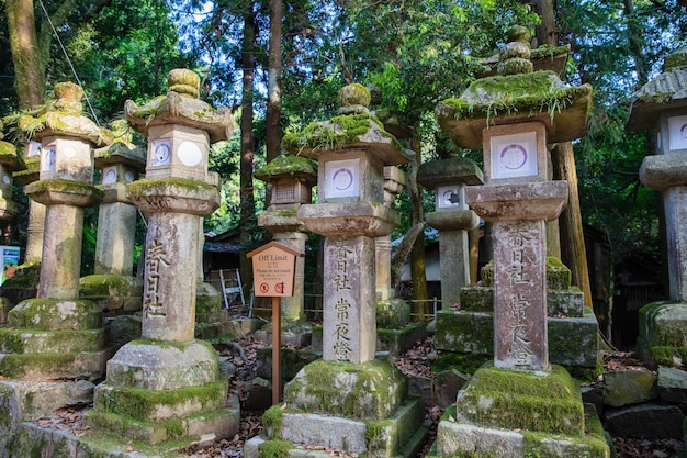 OSAKA, JAPÃO - maio. 12 2018: Lanternas de Pedra Japonesas