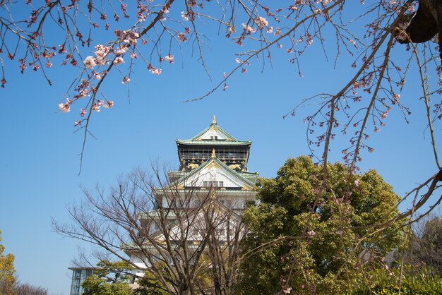 Foto osaka schloss in matsumoto, japan