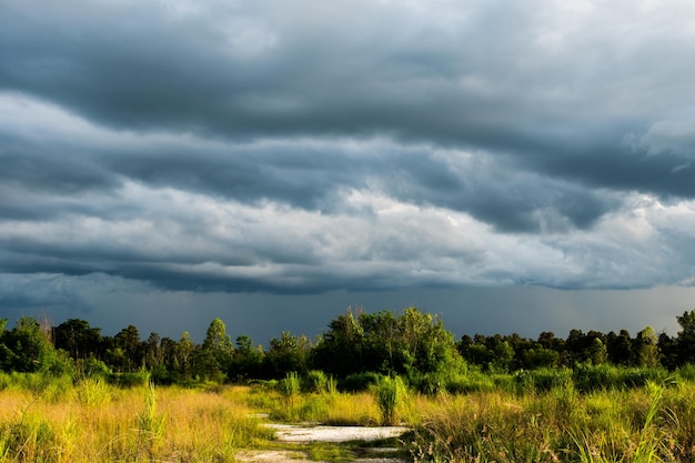 Oscuras nubes de tormenta sobre pradera con hierba verde