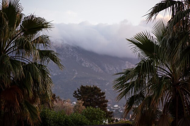 Oscuras nubes de tormenta ver entre palmeras y montañas en Chipre