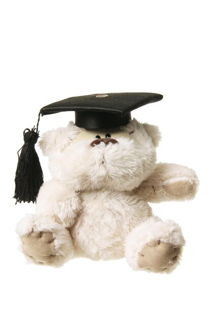 Foto osito de graduación de peluche