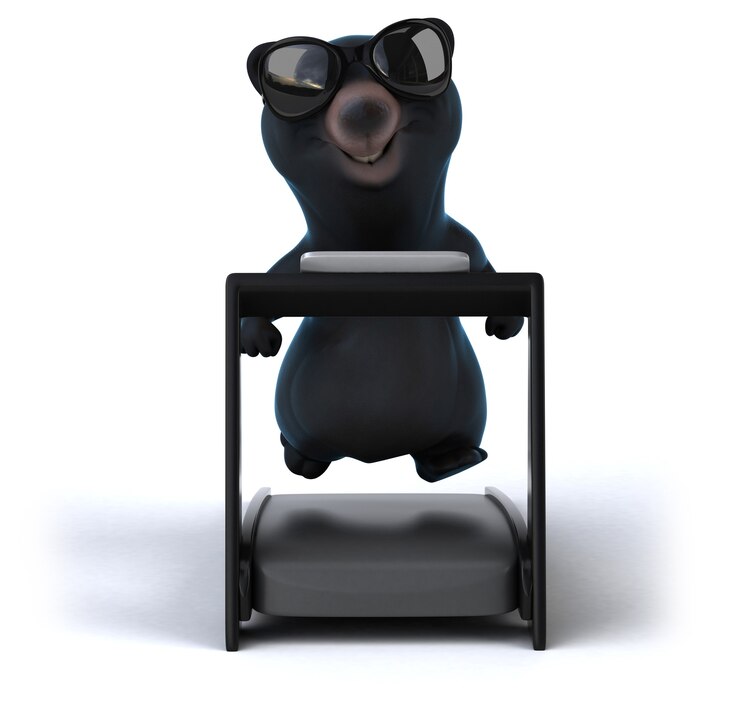 Foto oso divertido