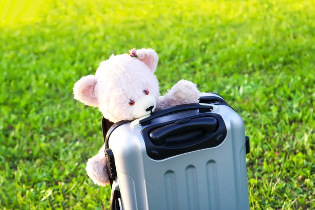 Oso de juguete suave para niños en bolsa de viaje en la pradera de verano verde