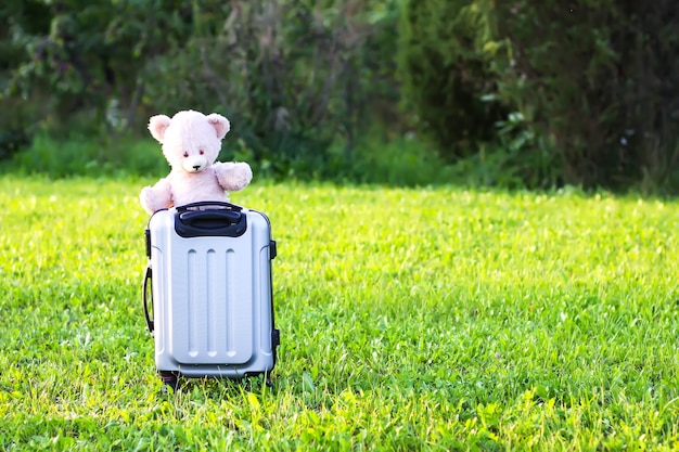 Oso de juguete suave para niños en bolsa de viaje en la pradera de verano verde