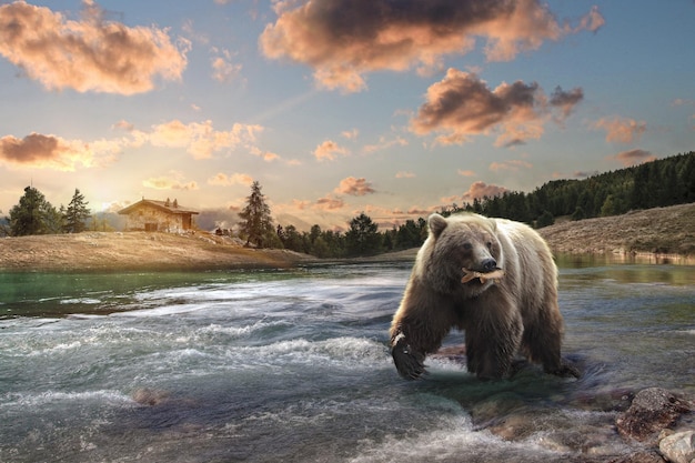 Un oso pardo de Alaska pescando en un río 3d renderizado