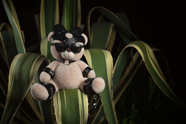 Oso de peluche BDSM con correas de cuero y accesorio de máscara para juegos sexuales en un cactus espinoso del sur