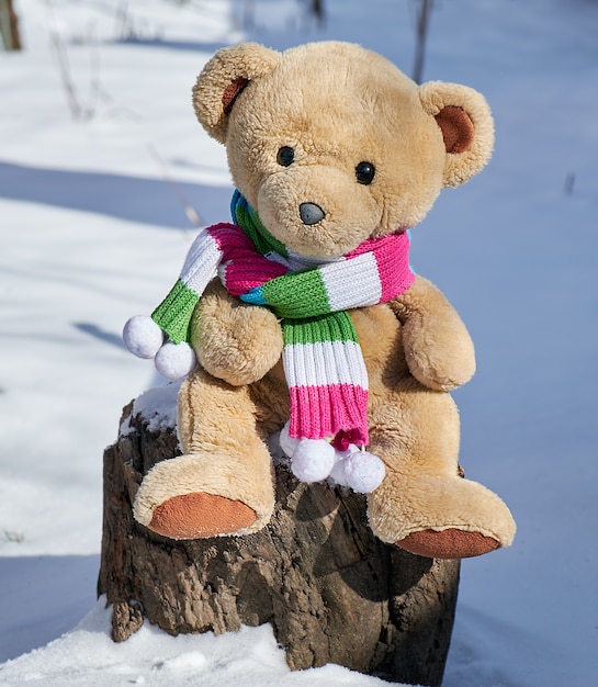 Oso de peluche en una bufanda se sienta en un tocón