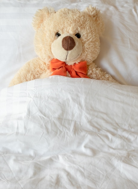 oso de peluche dormir en la cama