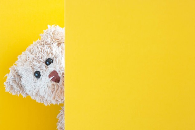 Oso de peluche juega a las escondidas con cartón, muñeca linda, juguetona y feliz.