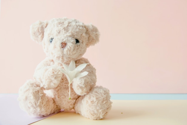 Oso de peluche lindo que sostiene las flores en fondo rosado