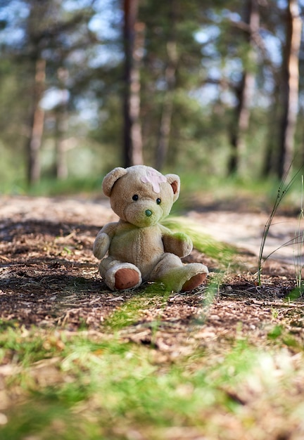 Oso de peluche marrón abandonado sentado en medio del bosque