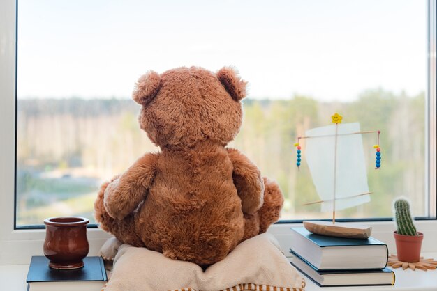 Oso de peluche marrón y libros cerca de una ventana