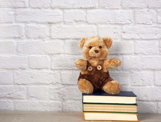 Oso de peluche marrón sentado en la pila de libros sobre la pared de ladrillo blanco.