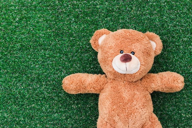 Un oso de peluche sobre un fondo verde hierba